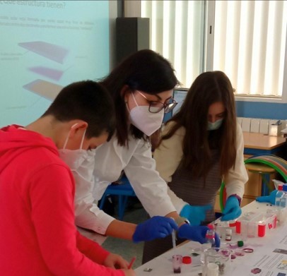 11F – Workshop at school “Solar cells with red fruits”
