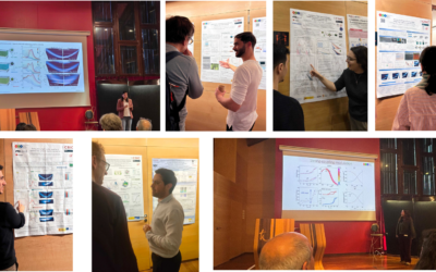 MOM Group at Nanolight 2026 in Benasque